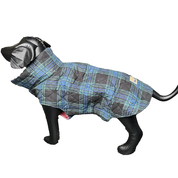 Nootie Blue-Green Strips Jacket for Dogs