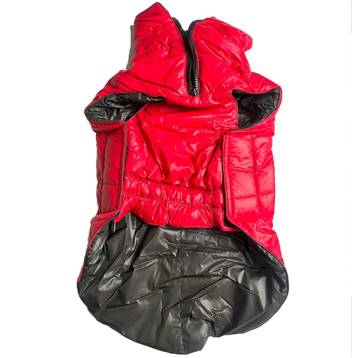 Nootie Red Jacket for Dogs