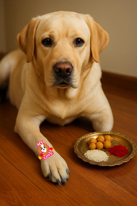 Nootie Rakhi for Your Pet Dog – Celebrate Raksha Bandhan with Your Furry Sibling