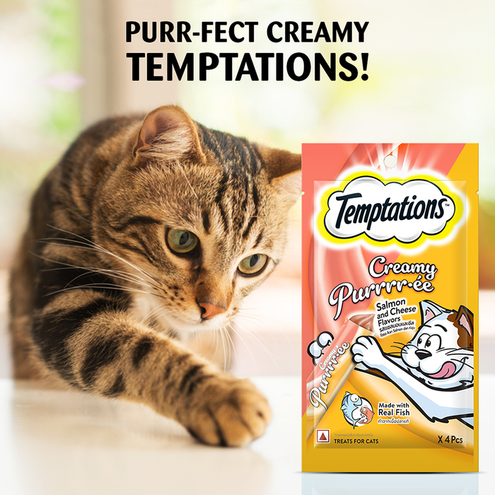 Temptations Creamy Purrrr-ée, Salmon & Cheese Flavour 1152g, Pack of 24
