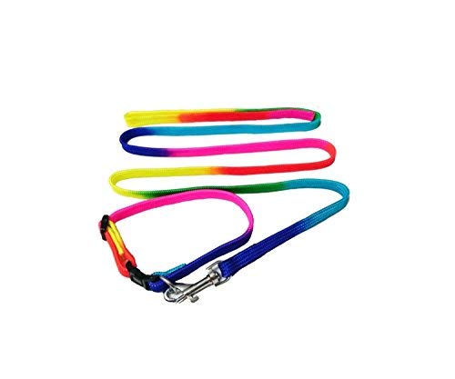 Nootie Small Breed Dog's Nylon Rainbow Colors Collar and Leash Set with attractive Bell