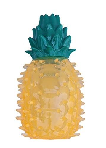 Nunbell Pineapple Fruit Chew Squeaky Dog Toy