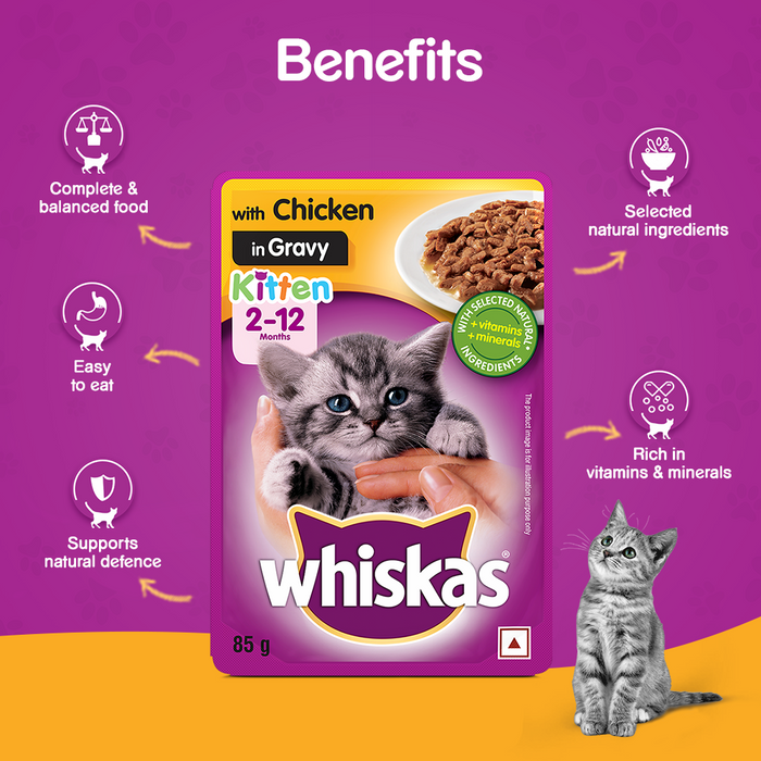 Whiskas Wet Food for Kittens (2-12 Months), Chicken in Gravy Flavour, 85g