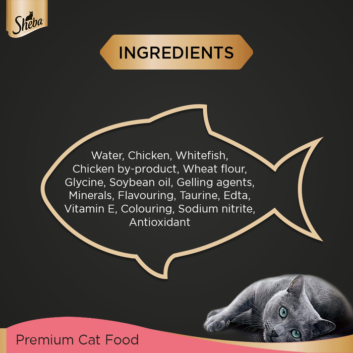 Sheba Rich Premium Kitten (2-12 Months) Fine Wet Cat Food, Chicken Loaf- Pack of 12 (70g x 12)