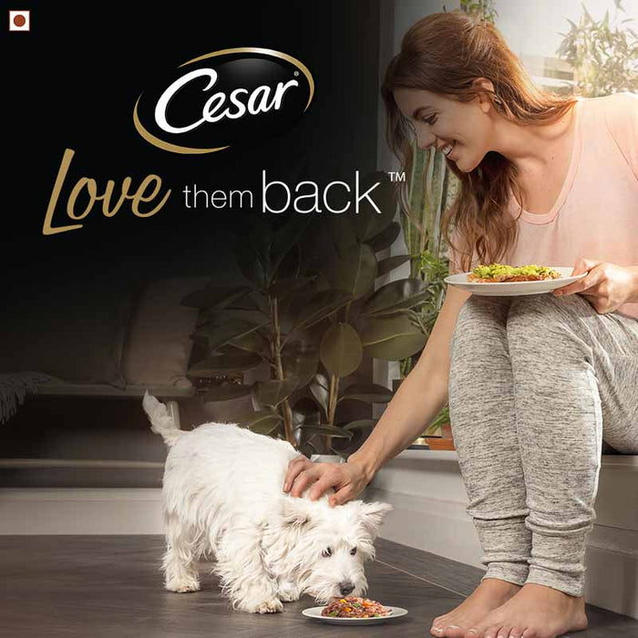 Cesar Adult Wet Dog Food, Tuna with White Meat Fish & Vegetables, 24 Trays (24x100g)