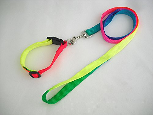 Nootie Small Breed Dog's Nylon Rainbow Colors Collar and Leash Set with attractive Bell