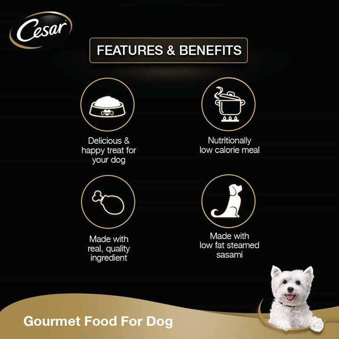 Cesar Premium Adult Wet Dog Food (Gourmet meal), Sasami, 16 Pouches (16 x 70g)