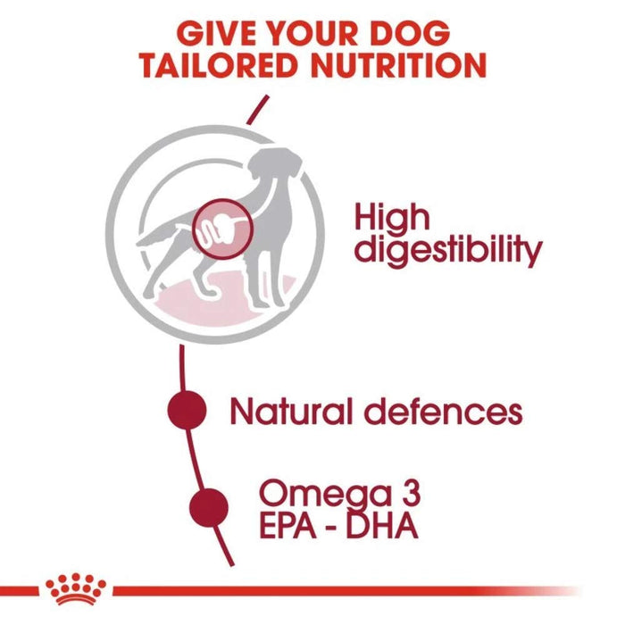 Royal Canin Medium Adult Dog Food, Gravy (Packof10)