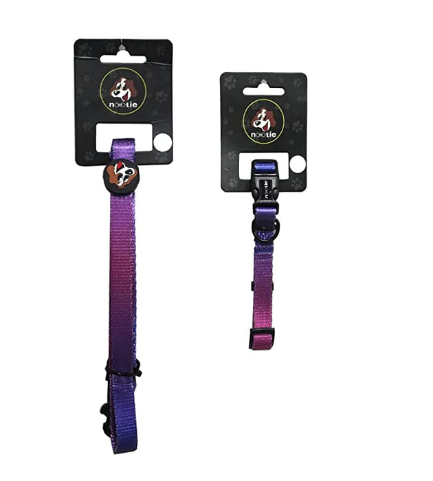 Vibrant Violet Nylon Dog Leash & Collar Set for Dogs/Puppies