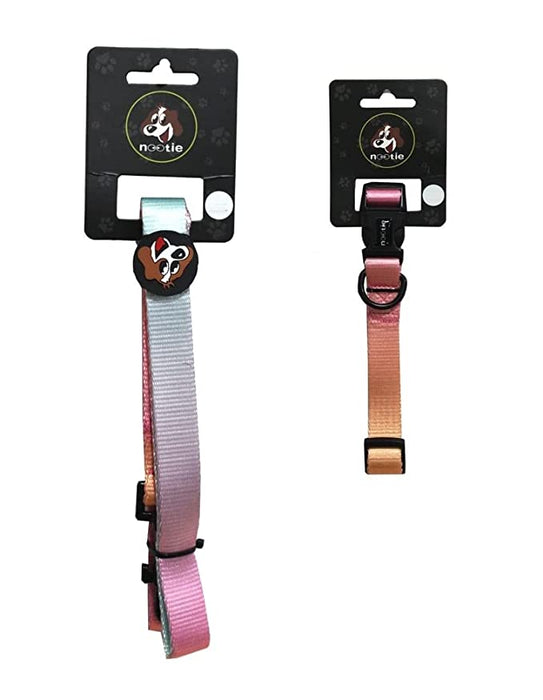 Vibrant Pink Nylon Dog Leash & Collar Set for Dogs/Puppies