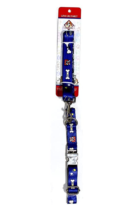 Nootie Premium Design Leash & Collar Set for Dogs/Puppies | Pet Collar Set (Small, Blue)