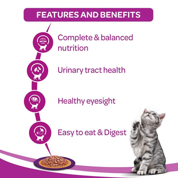 Whiskas Adult (+1 year) Wet Cat Food Food, Chicken in Gravy Monthly Pack, 48 Pouches (48 x 85g)
