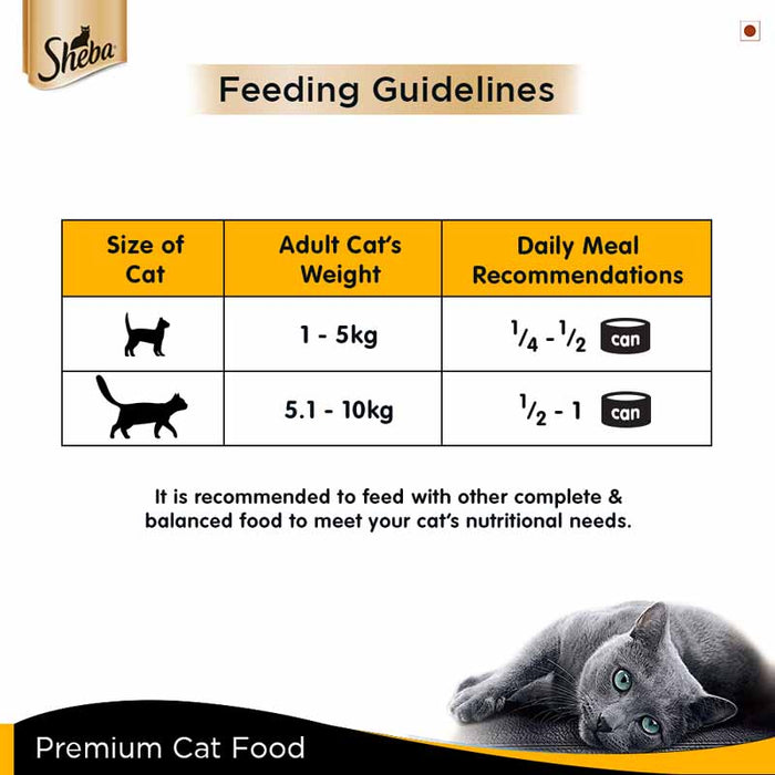Sheba Premium Wet Cat Food Food, Tuna Fillet & Whole Prawns in Gravy, 85g Can