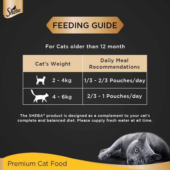 Sheba Rich Premium Adult (+1 Year) Fine Wet Cat Food, Tuna Pumpkin & Carrot In Gravy- Pack of 24 x 70g