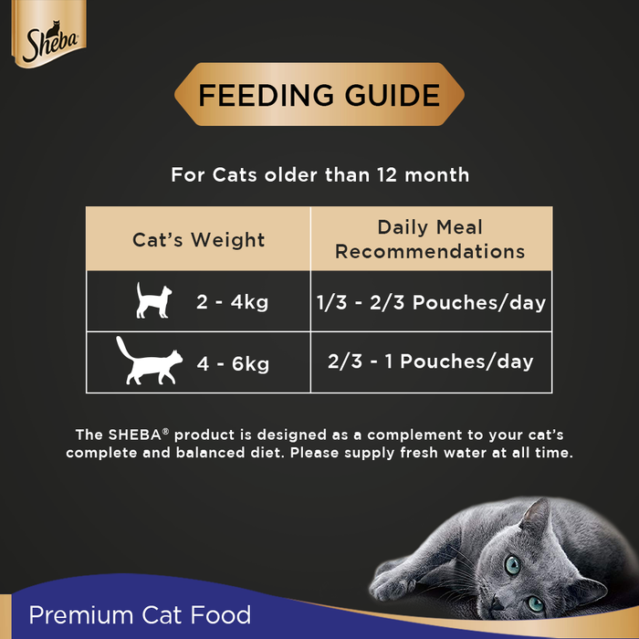 Sheba Rich Premium Adult (+1 Year) Fine Wet Cat Food, Chicken Loaf- Pack of 12 (70g x 12)