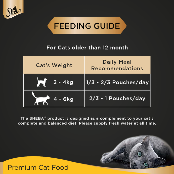 Sheba Rich Premium Adult (+1 Year) Fine Wet Cat Food, Tuna Pumpkin & Carrot In Gravy- Pack of 12 (70g x 12)