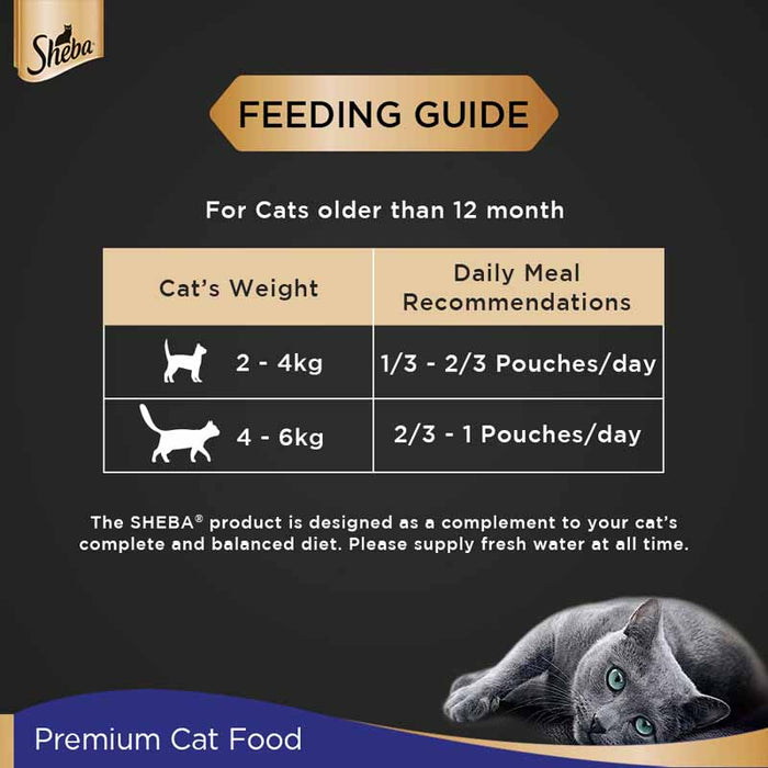 Sheba Rich Premium Adult (+1 Year) Fine Wet Cat Food, Chicken Loaf- Pack of 24 x 70g
