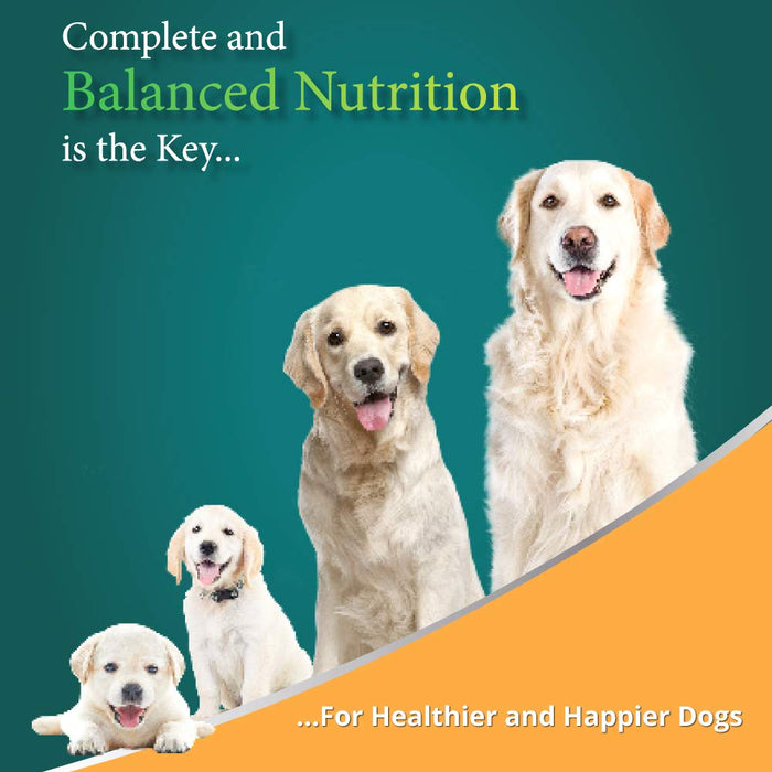 Himalaya Healthy Pet Food - Adult, Large