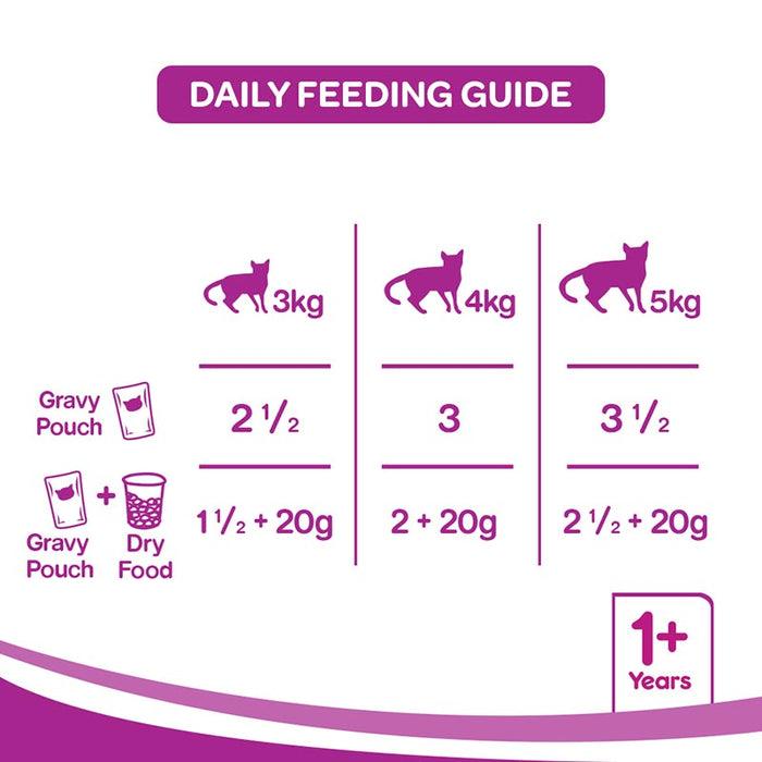 Whiskas Adult (+1 year) Wet Cat Food Food, Chicken in Gravy Monthly Pack, 48 Pouches (48 x 85g)