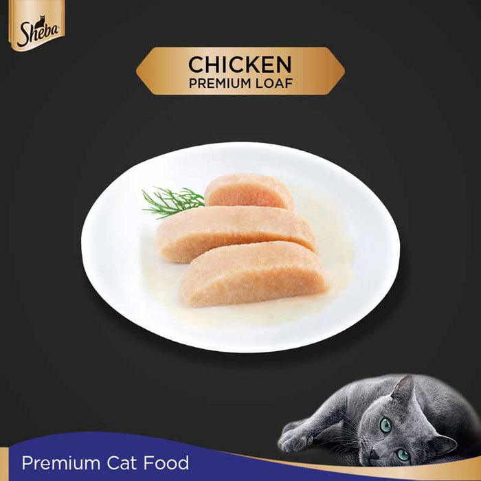 Sheba Rich Premium Adult (+1 Year) Fine Wet Cat Food, Chicken Loaf- Pack of 24 x 70g