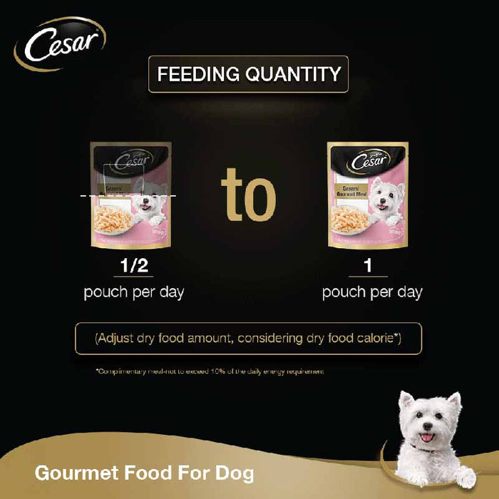 Cesar Premium Adult Wet Dog Food (Gourmet meal), Sasami & Vegetables, 16 Pouches (16 x 70g)