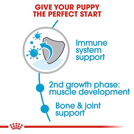 Royal Canin Giant Junior Dog Dry Food