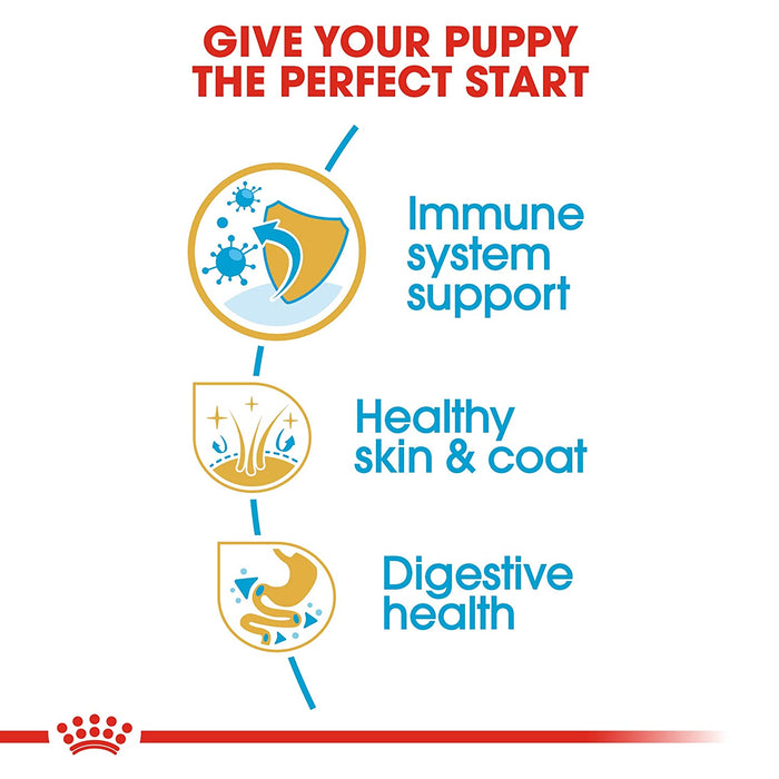Royal Canin Golden Retriver Junior