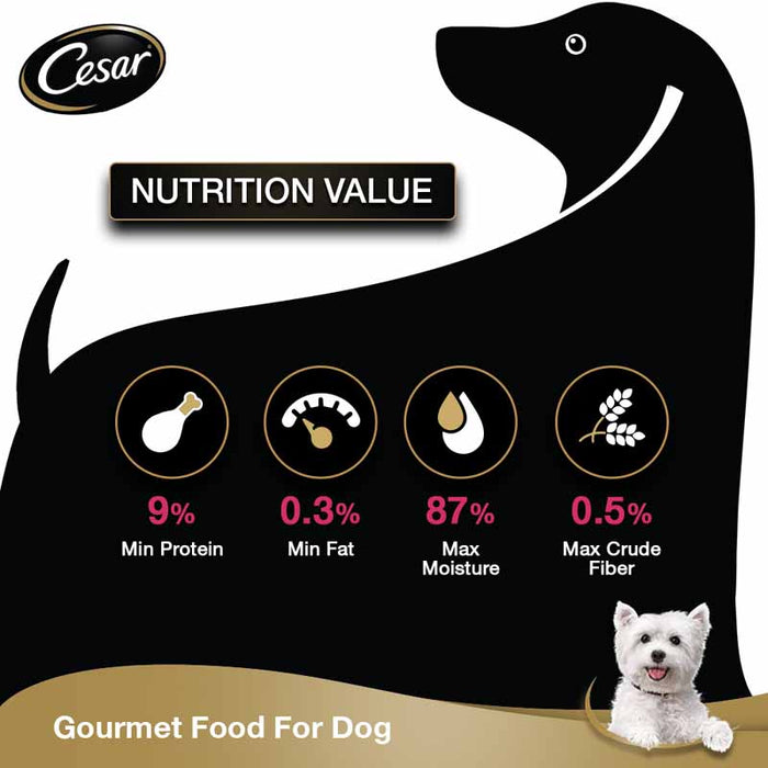 Cesar Premium Adult Wet Dog Food (Gourmet meal), Sasami, 16 Pouches (16 x 70g)