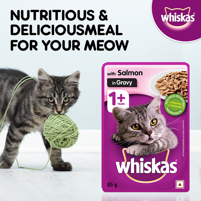 Whiskas Wet Food for Adult Cats (1+Years), Salmon in Gravy Flavour, 12 Pouches (12 x 85g)