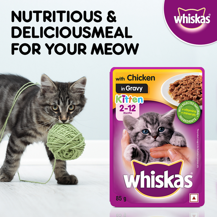 Whiskas Wet Food for Kittens (2-12 Months), Chicken in Gravy Flavour, 85g