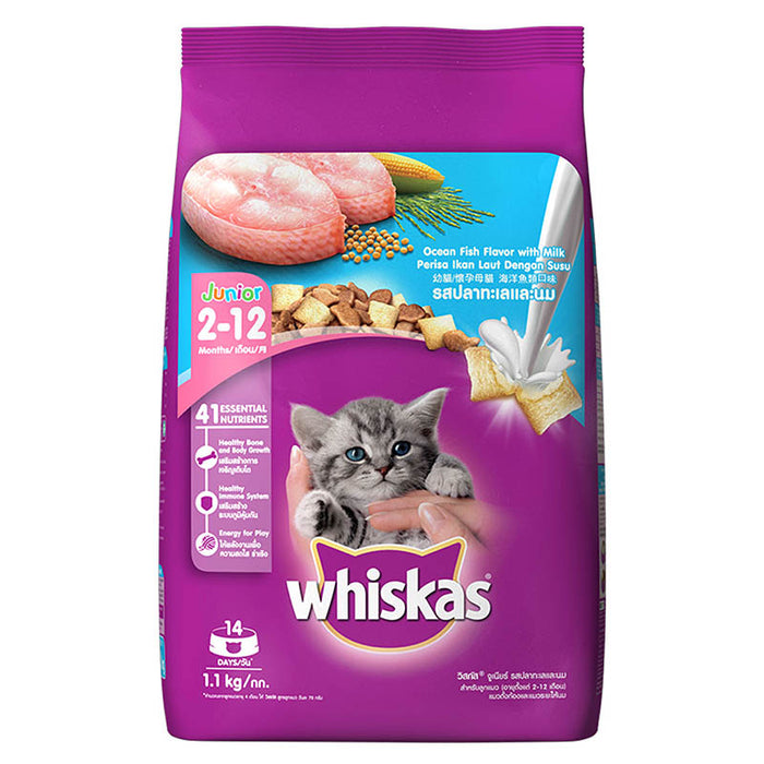 Whiskas Kitten (2-12 months) Dry Cat Food Food, Ocean Fish, 1.1kg Pack