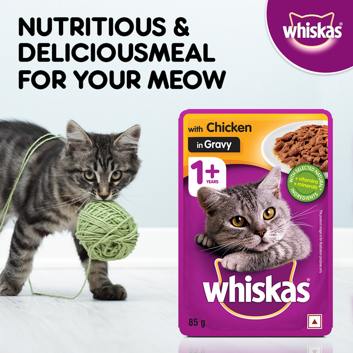 Whiskas Wet Cat Food for Adult Cats (1+Years), Chicken in Gravy Flavour, 96 Pouches (96 x 85g)