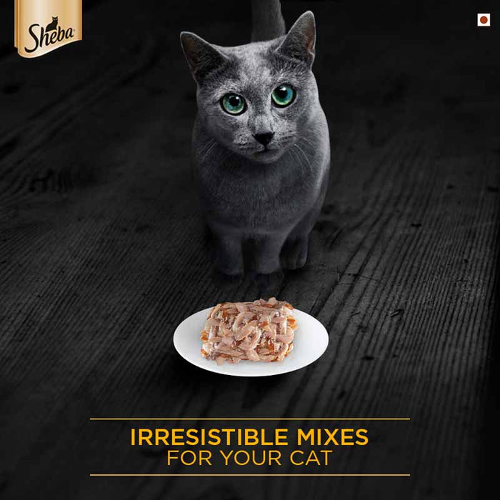 Sheba Premium Wet Cat Food Food, Tuna Fillet & Whole Prawns in Gravy, 85g Can