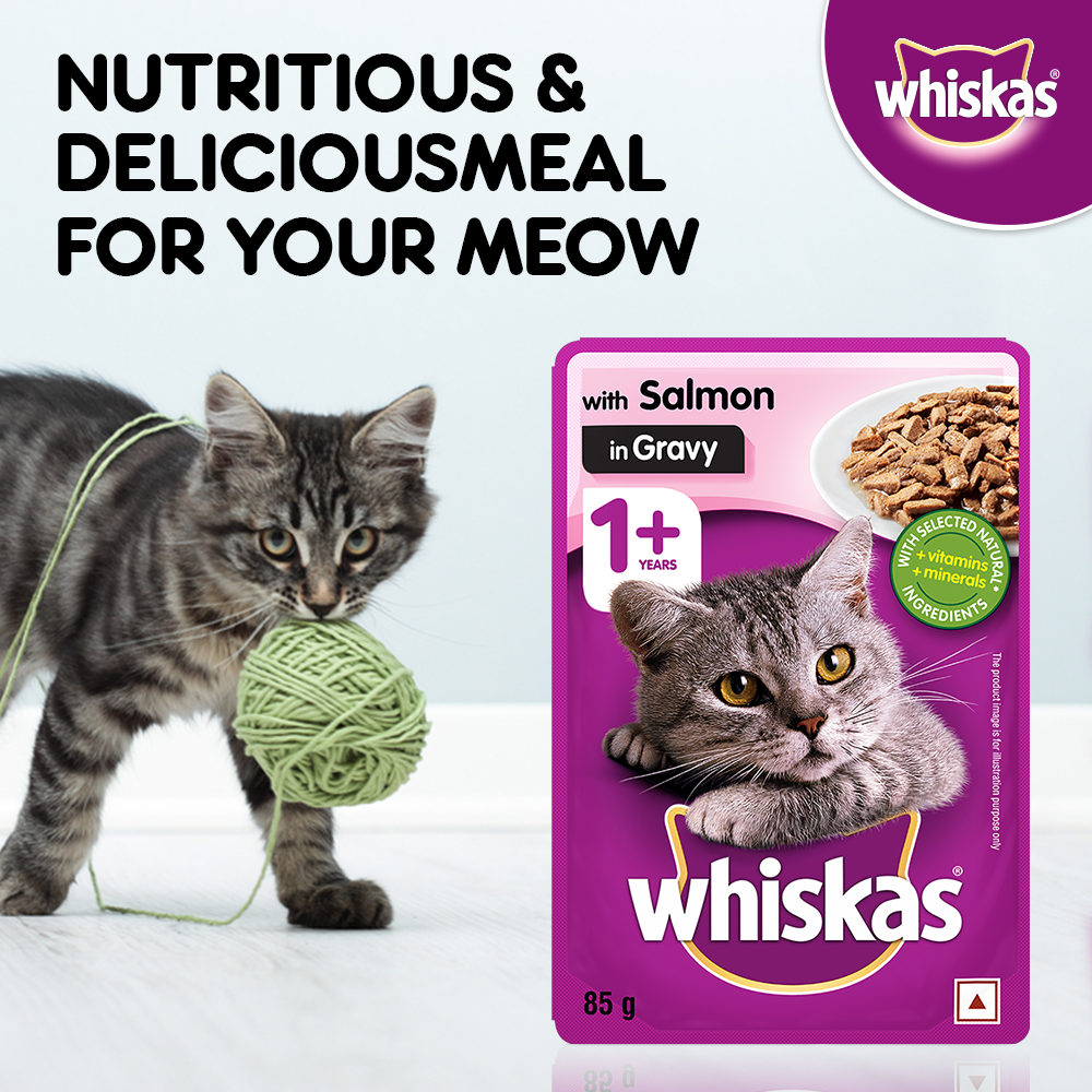 Whiskas salmon best sale in gravy