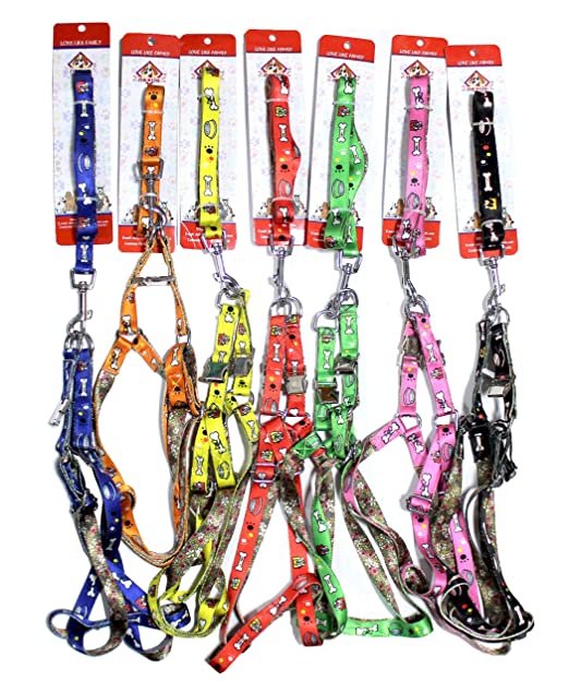 Nootie Premium Printed Nylon Dog Harness & Leash Set for Dogs/Puppies | Pet Harness Set (Medium, Orange)