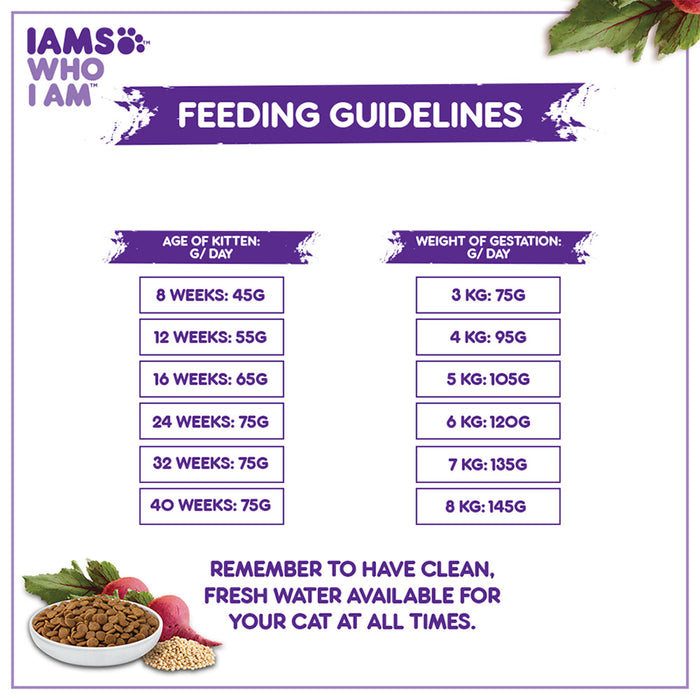 IAMS Proactive Health, Mother & Kitten (2-12 Months) Dry Premium Cat Food with Chicken, 1 Kg
