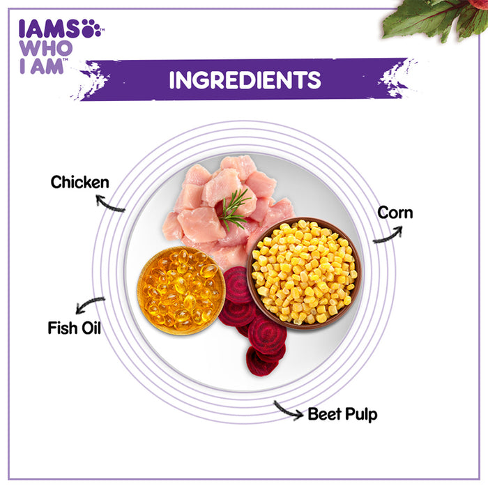 IAMS Proactive Health, Mother & Kitten (2-12 Months) Dry Premium Cat Food with Chicken, 3 Kg