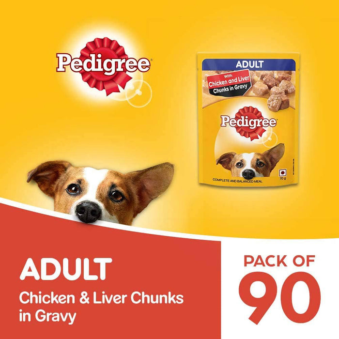 Pedigree Adult Wet Dog Food, Chicken & Liver Chunks in Gravy, 70 Gms (Pack of 90)