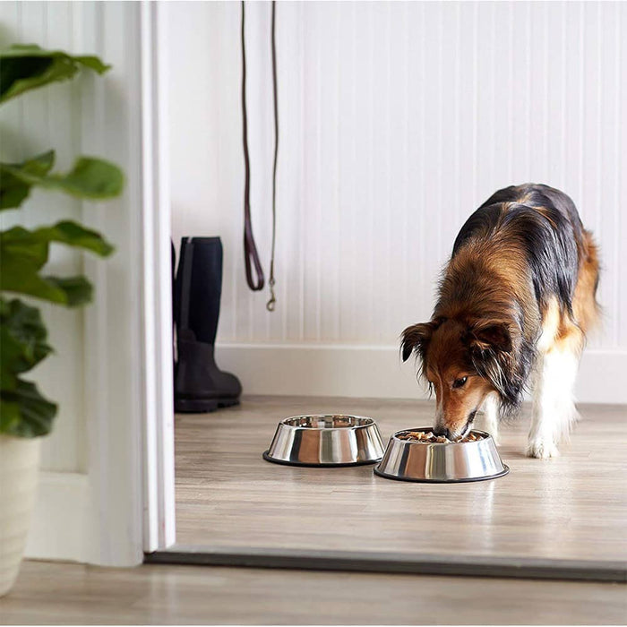STAINLESS STEEL DOG BOWL LARGE, LARGE, 900 MILLIL (SET OF 2) (SILVER)