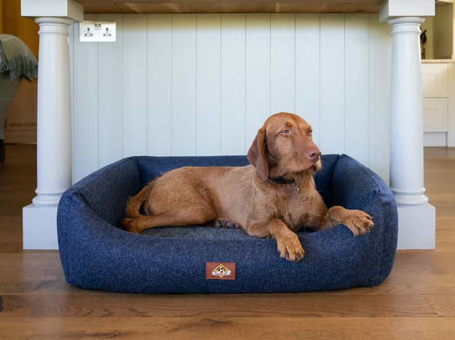 Nootie Premium Baby Girrafe-Yellow Lounger Bed.