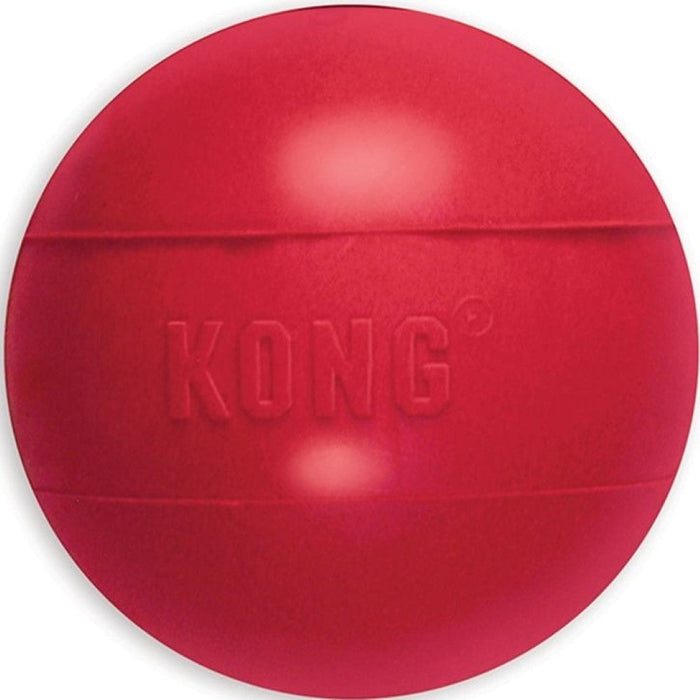 Kong Ball With Hole Toy for Dogs