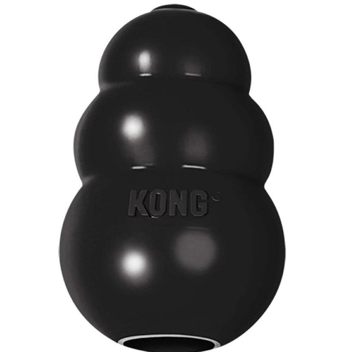 Kong Extreme Toy for Dogs