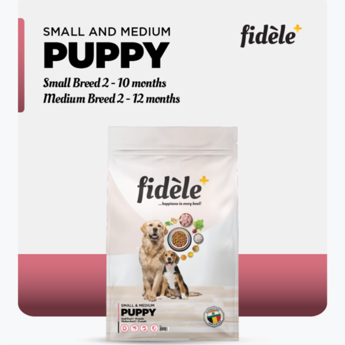 Fidele Plus Small and Medium Puppy Dog Dry Food
