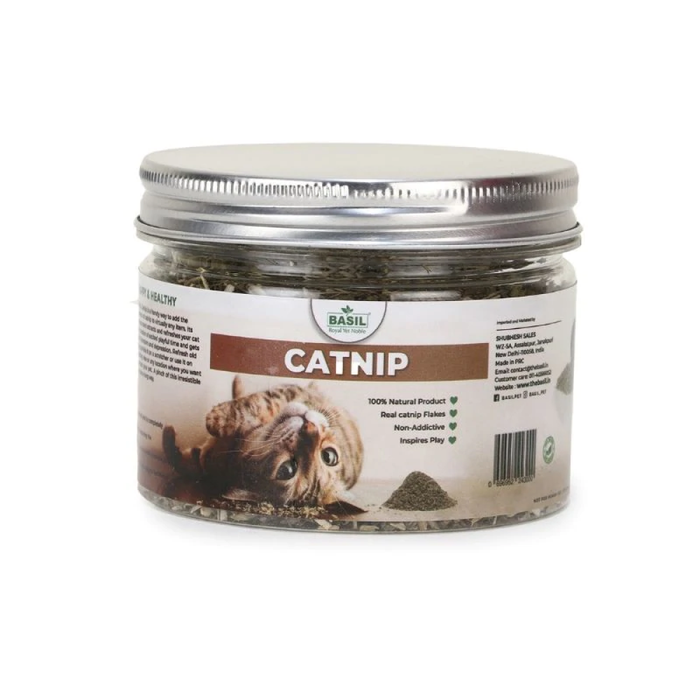 Catnip Jar- Basil