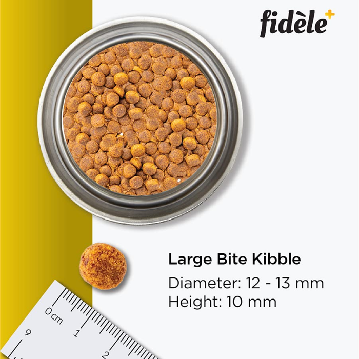 Fidele Plus Large Puppy Dog Dry Food