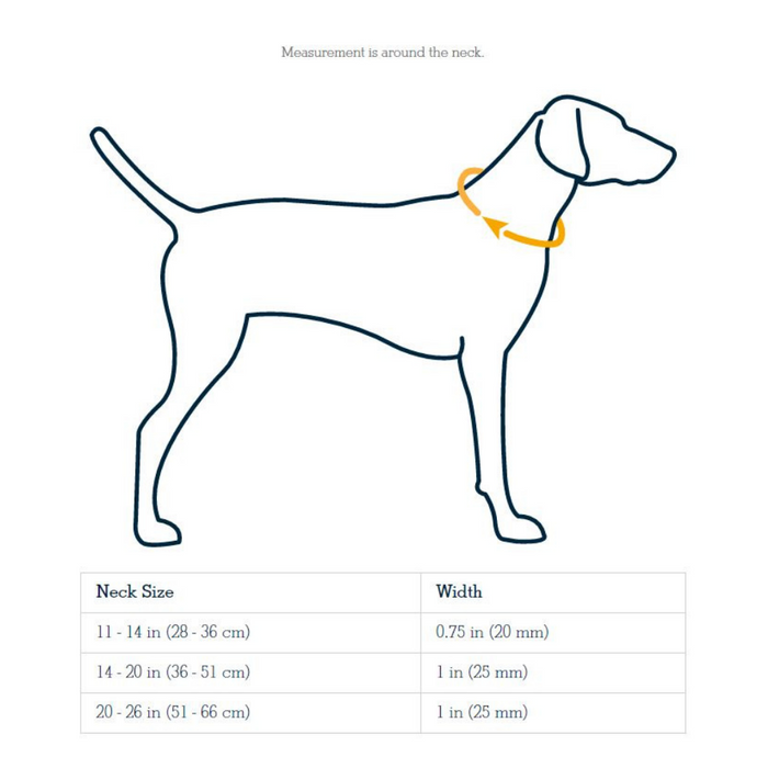 Ruffwear Chain Reaction Dog Collar - Seafoam