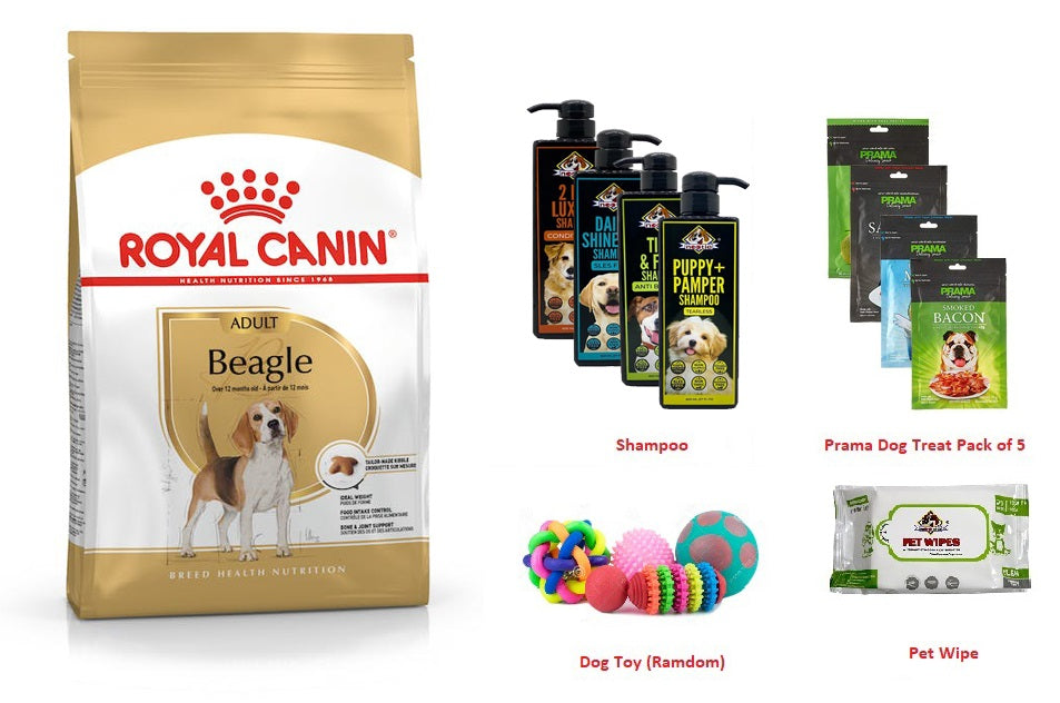 Beagle Adult Care Kit