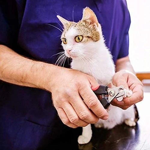 Cat nail trimmer near me hot sale