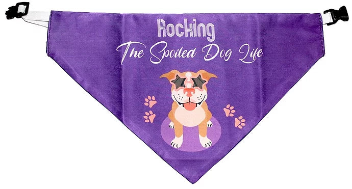 Nootie Premium Rocking Dog Printed Bandana/Scarf for Pets, Violet