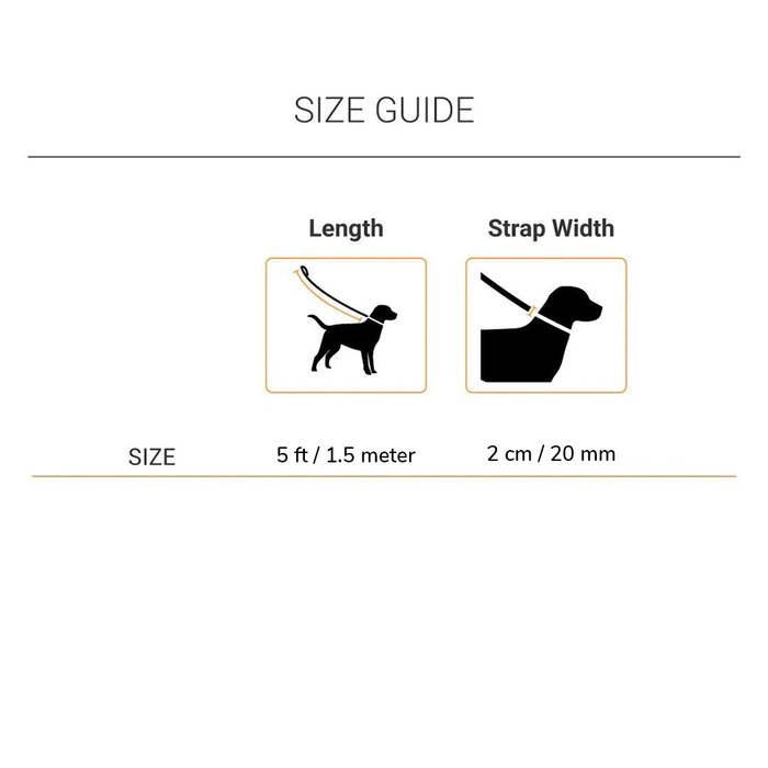 Ruffwear Front Range Dog Leash - Aurora Teal Standard
